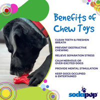 Starfish Nylon Dog Chew Toy for Aggressive Chewers | USA Made | SodaPup - BIG FRENCHIES
