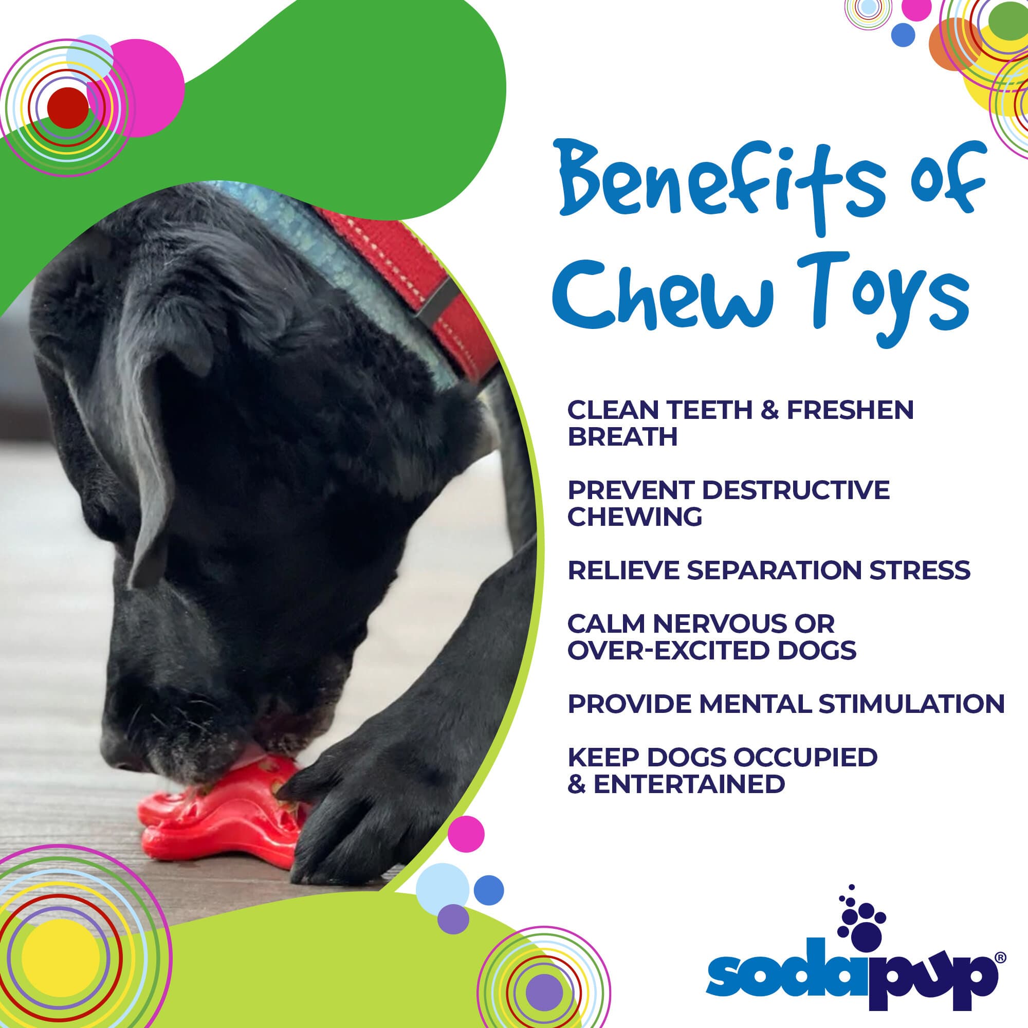 Starfish Nylon Dog Chew Toy for Aggressive Chewers | USA Made | SodaPup - BIG FRENCHIES