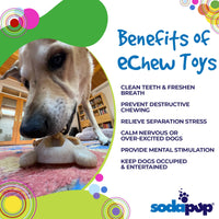 Turtle Nylon Chew Toy - Ultra-Durable Enrichment Toy for Power Chewers USA - BIG FRENCHIES