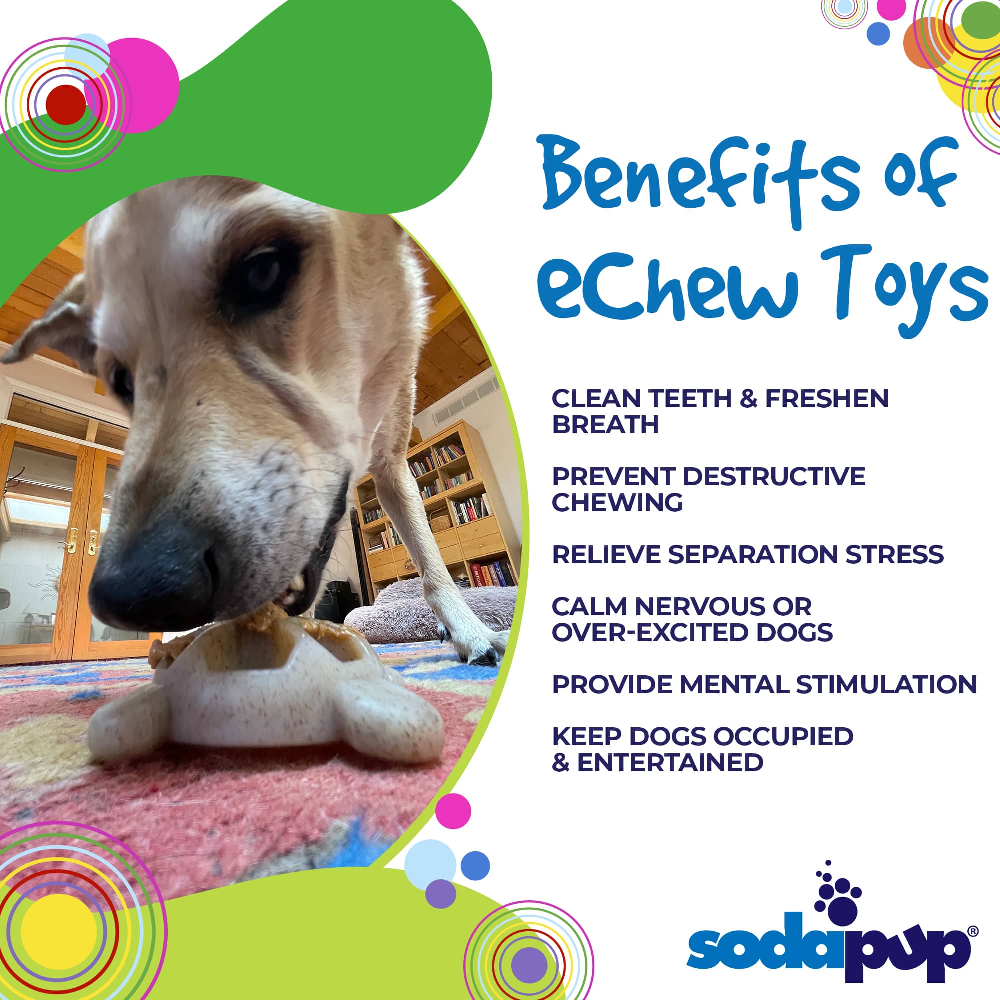 Turtle Nylon Chew Toy - Ultra-Durable Enrichment Toy for Power Chewers USA - BIG FRENCHIES