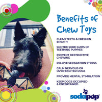 Vampire Bat Nylon Dog Chew Toy for Aggressive Chewers | USA Made & FDA Compliant - BIG FRENCHIES