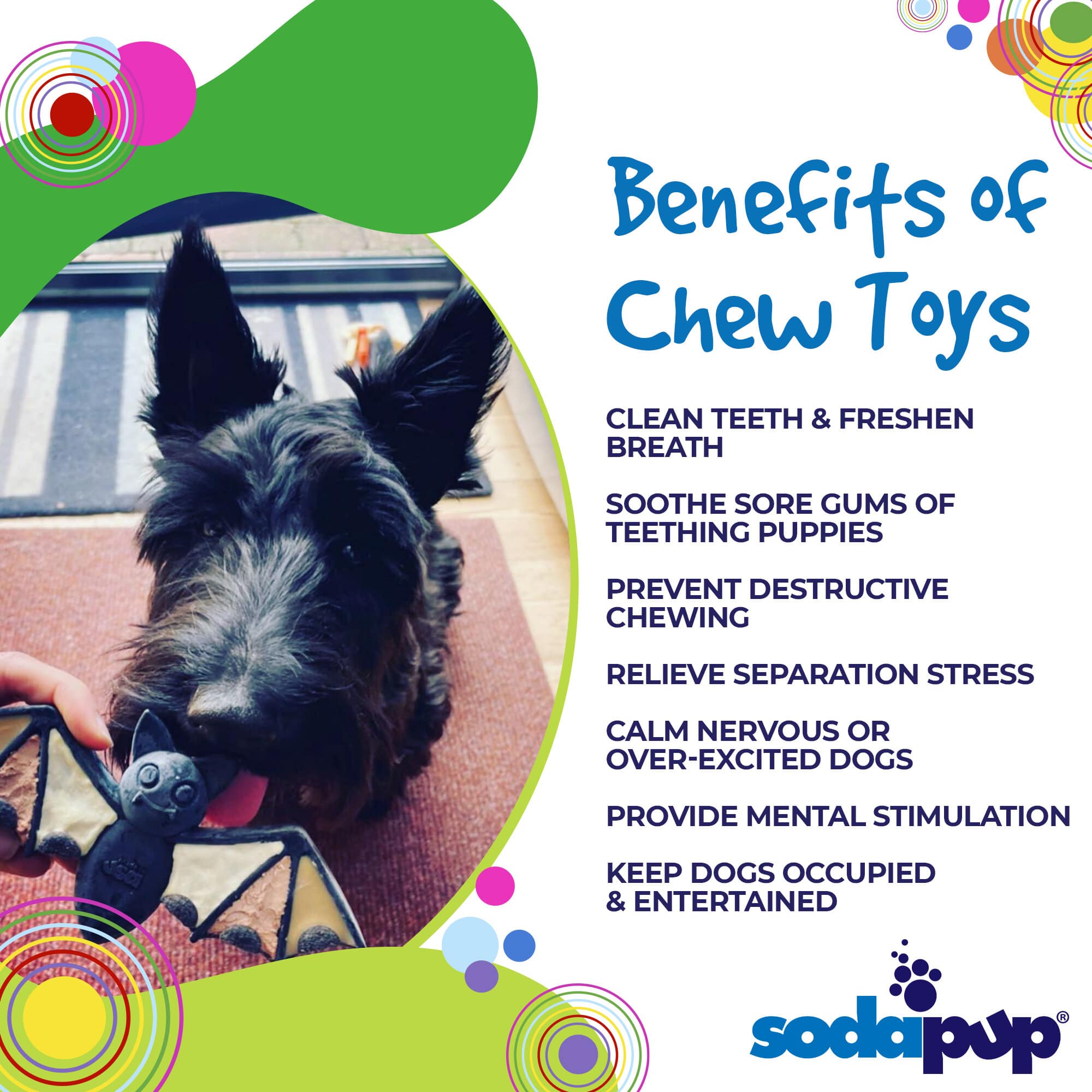 Vampire Bat Nylon Dog Chew Toy for Aggressive Chewers | USA Made & FDA Compliant - BIG FRENCHIES