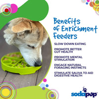 Four Seasons eTray - Shallow Slow Feeder Dog Bowl for Enrichment | USA Made - BIG FRENCHIES
