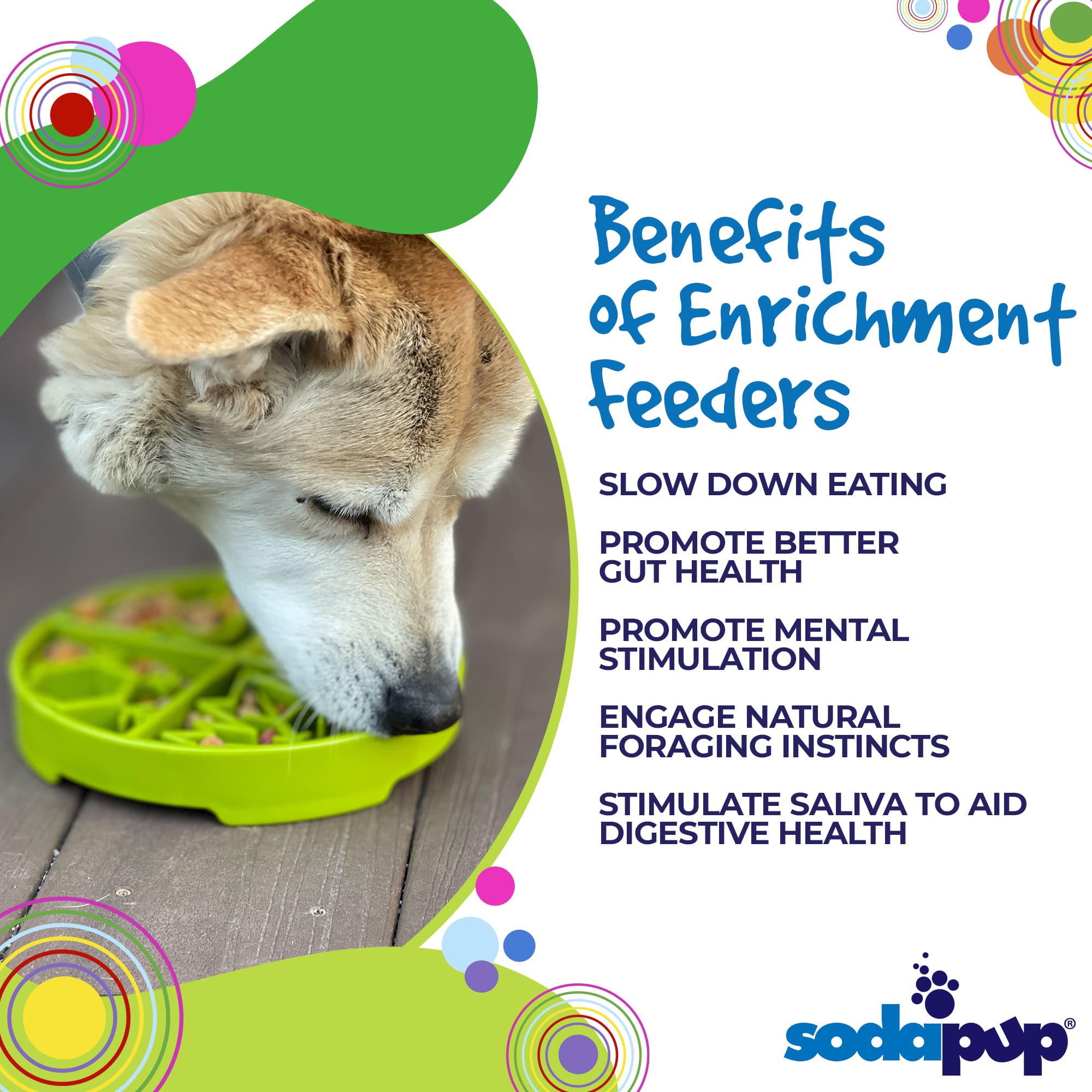 Four Seasons eTray - Shallow Slow Feeder Dog Bowl for Enrichment | USA Made - BIG FRENCHIES