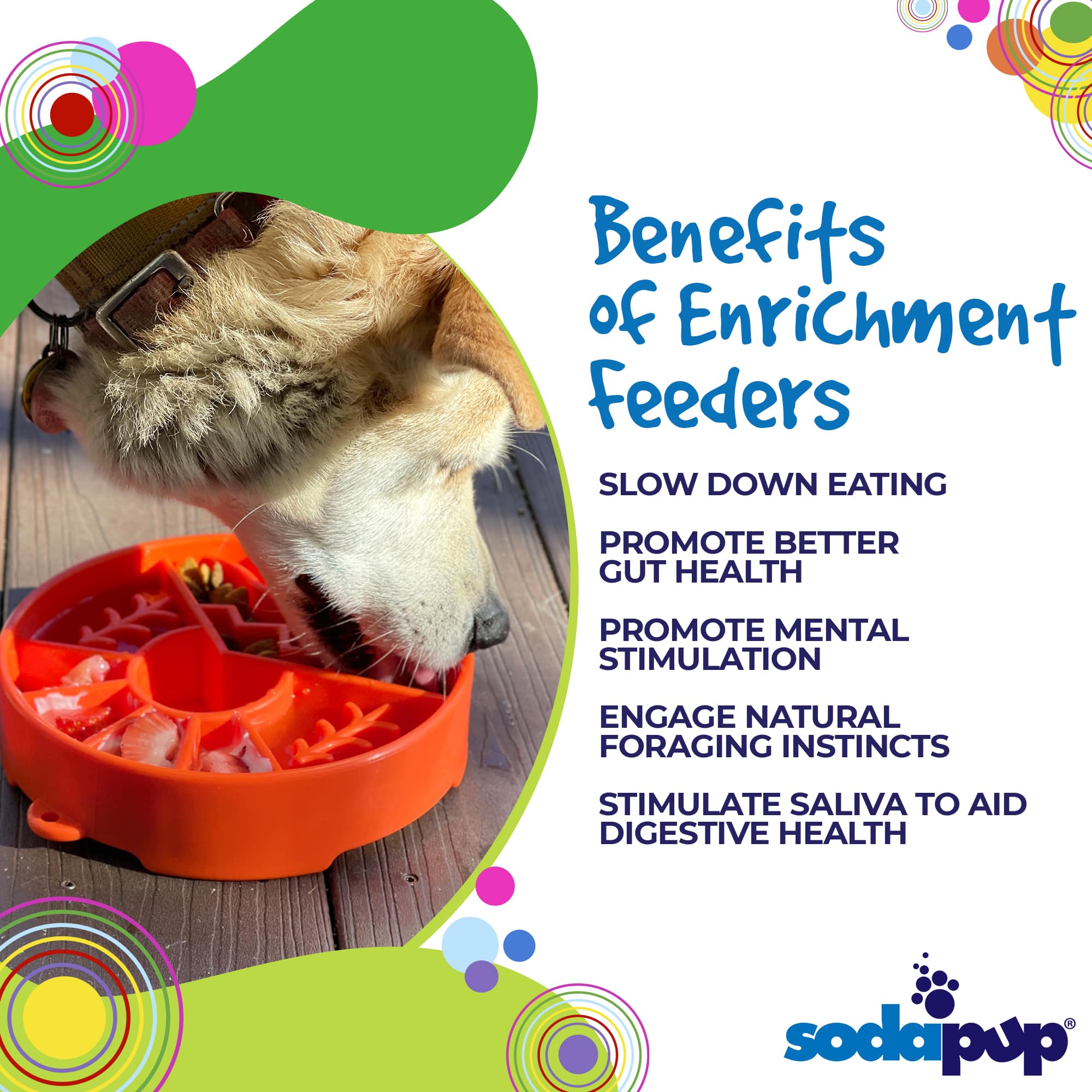 Great Outdoors eBowl - Slow Feeder Dog Bowl & Enrichment | USA Made - BIG FRENCHIES