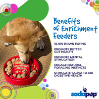 Santa Christmas eBowl Deep Slow Feeder Dog Bowl for Enrichment | USA Made - BIG FRENCHIES
