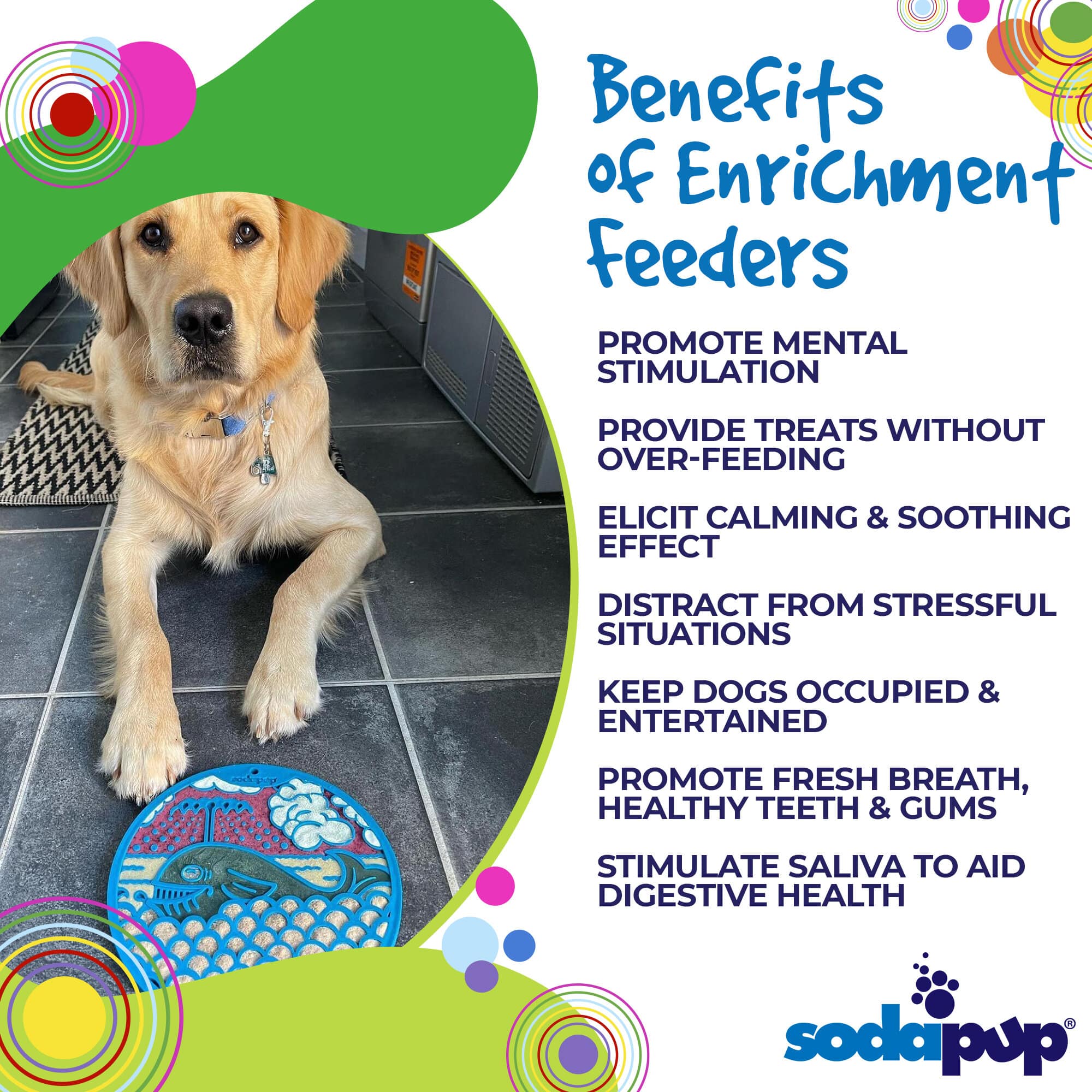 Whale eMat - Enrichment Lick Mat for Dogs and Cats - with Suction Cups | Whale Design | USA Made - BIG FRENCHIES