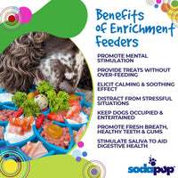 Mandala eTray Shallow Slow Feeder Dog Bowl for Enrichment | USA Made - BIG FRENCHIES