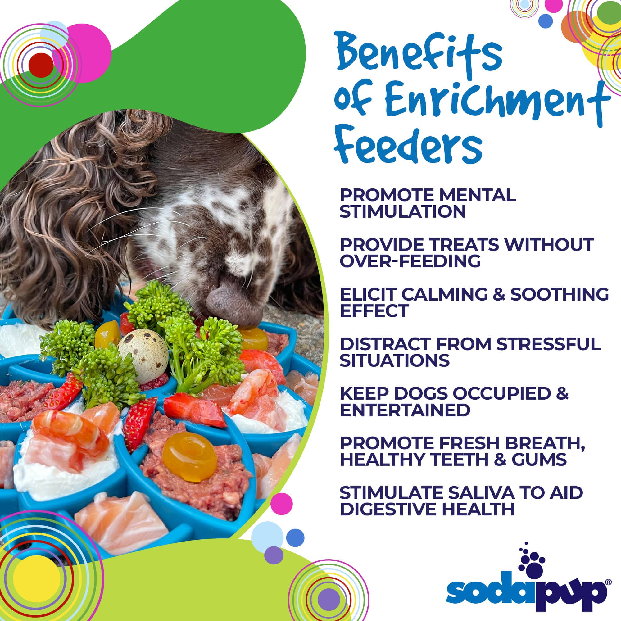 Mandala eTray Shallow Slow Feeder Dog Bowl for Enrichment | USA Made - BIG FRENCHIES