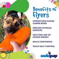 Bottle Top Flyer Rubber Frisbee for Dogs | Orange | Vet Approved | USA Made - BIG FRENCHIES