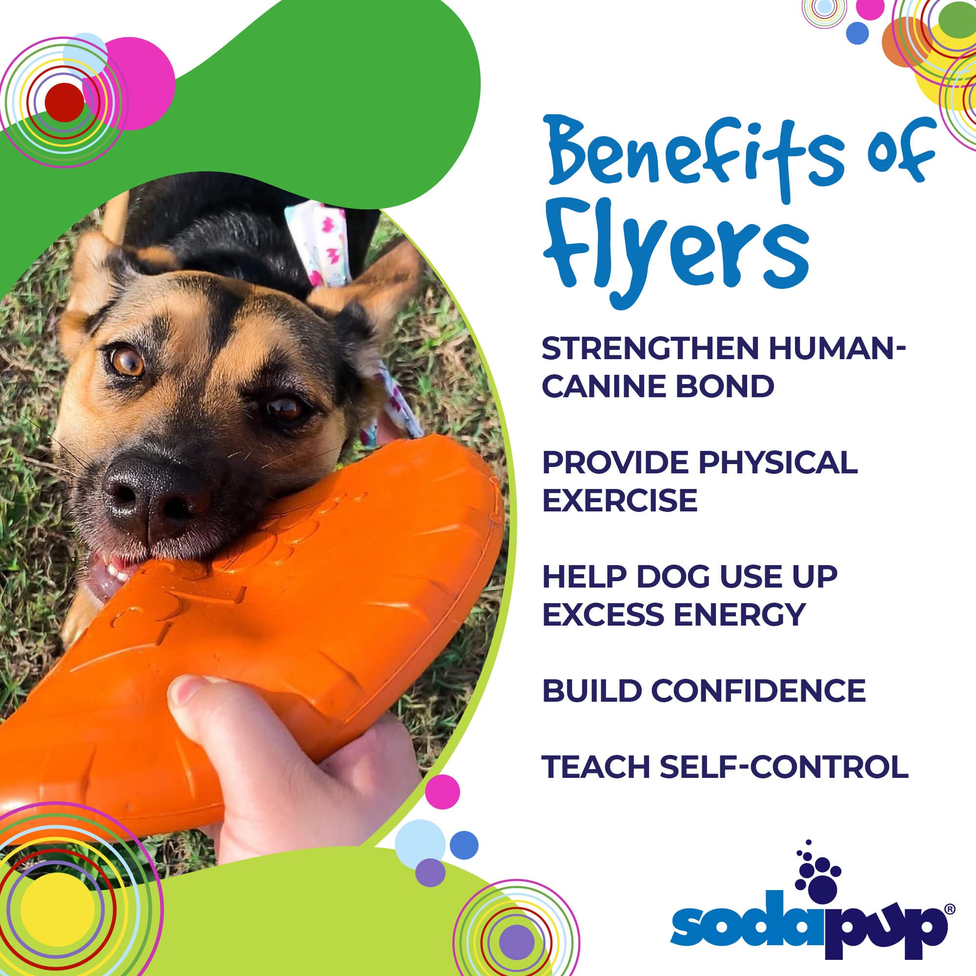 Bottle Top Flyer Rubber Frisbee for Dogs | Orange | Vet Approved | USA Made - BIG FRENCHIES