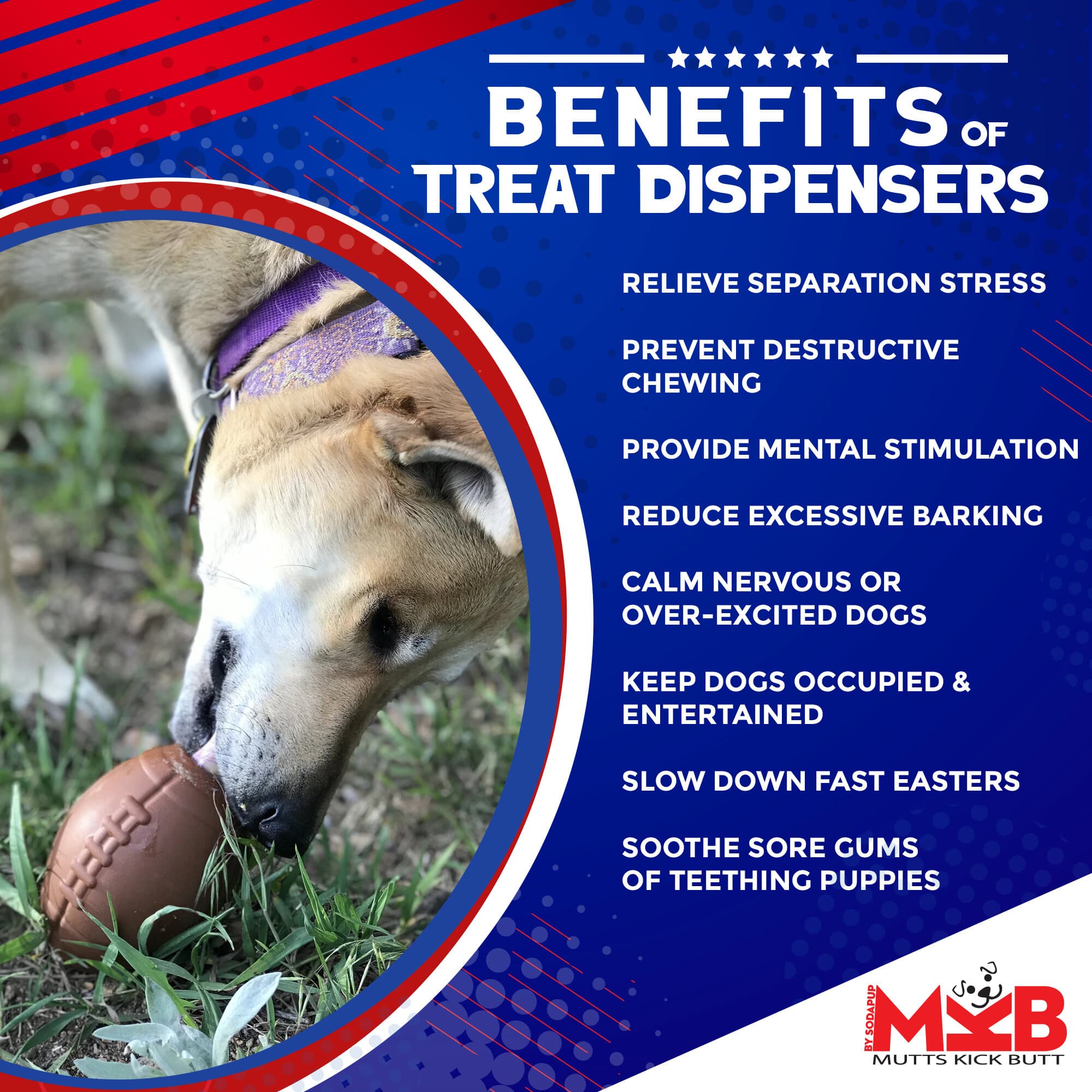 Football Dog Chew Toy & Treat Dispenser - USA Made | SodaPup - BIG FRENCHIES