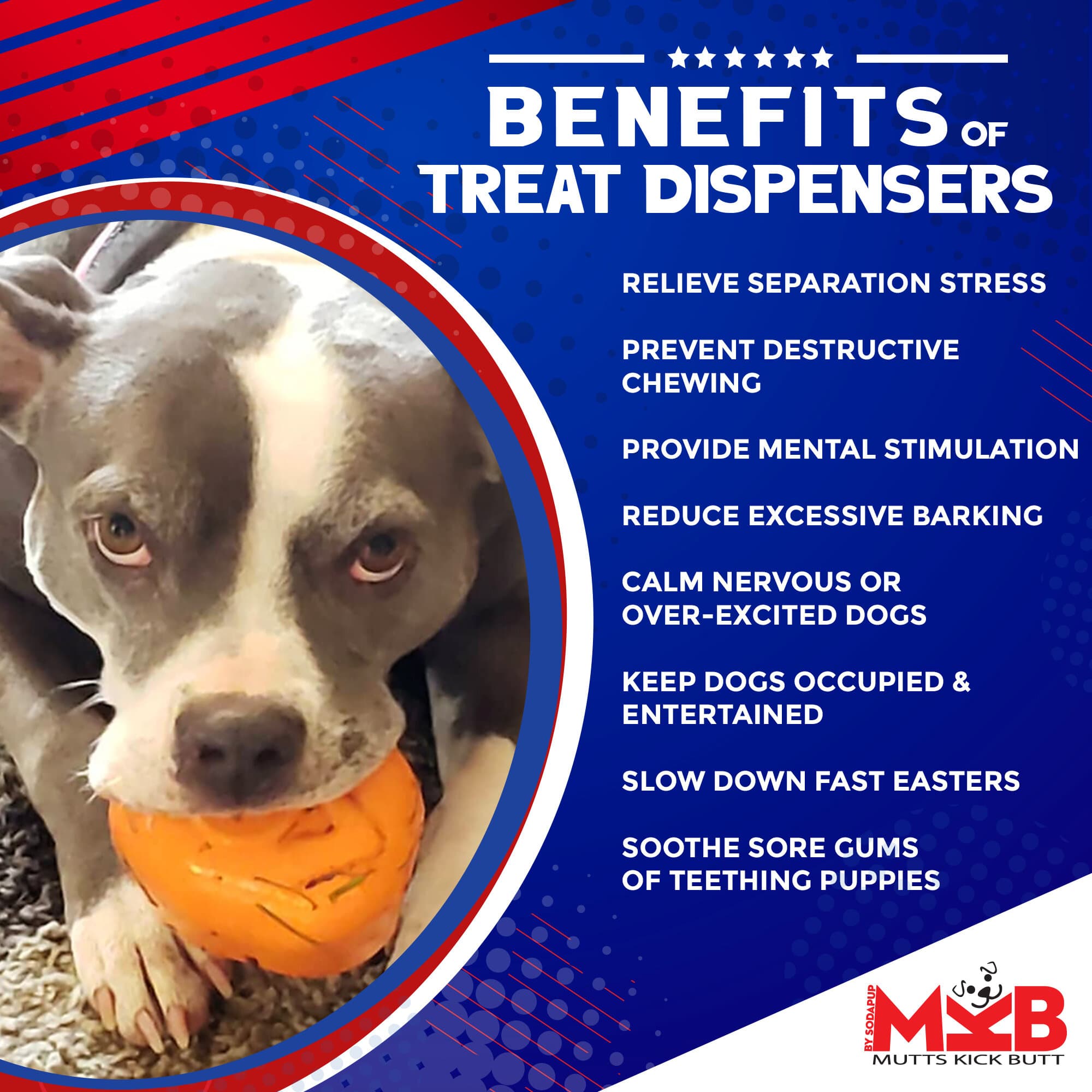 Roasted Turkey Dog Chew Toy & Treat Dispenser - USA Made | SodaPup - BIG FRENCHIES