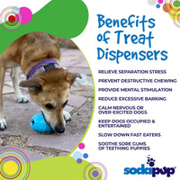 Ice Cream Cone Rubber Dog Chew Toy for Power Chewers | USA Made | SodaPup - BIG FRENCHIES