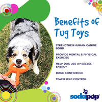 Pop Top Rubber Tug Toy for Interactive Play | Heavy Chewers | USA Made | SodaPup - BIG FRENCHIES