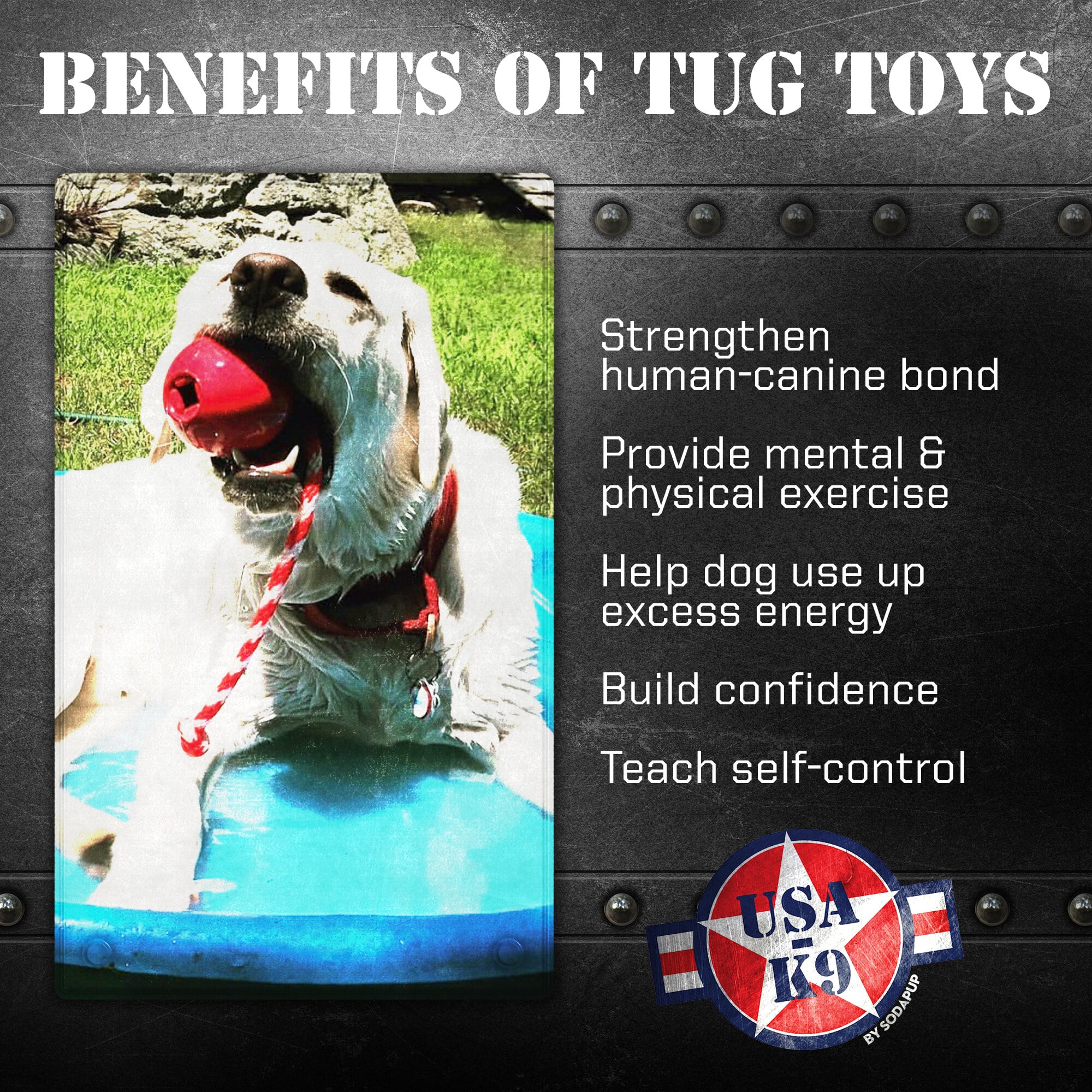 USA-K9 Cherry Bomb Rubber Dog Chew Toy | K9 Handler Reward Toy | Blue | USA Made - BIG FRENCHIES
