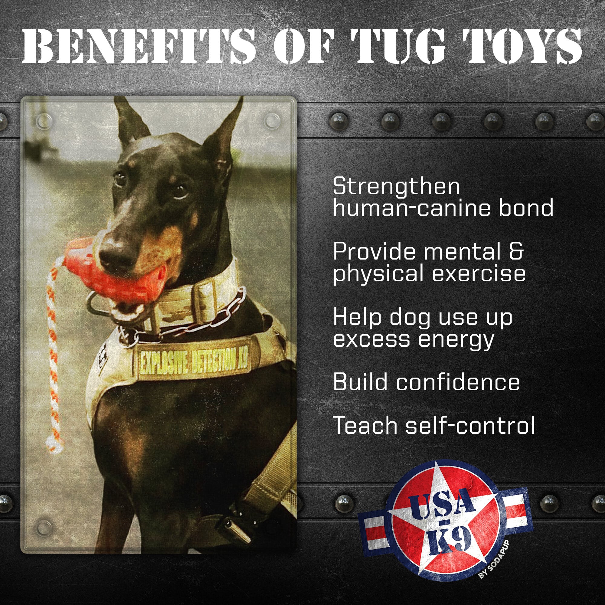 USA-K9 Grenade Shaped Rubber Dog Toy - Chew, Treat Dispenser & Tug Toy | USA - BIG FRENCHIES