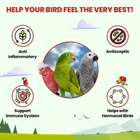 Rising Phoenix Parrot Tea