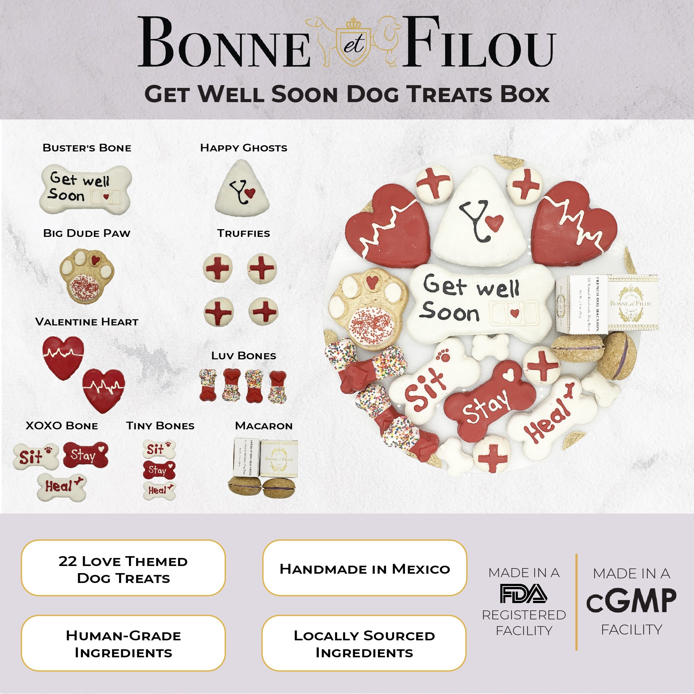 Get Well Soon Themed Dog Treats Gift Box - BIG FRENCHIES