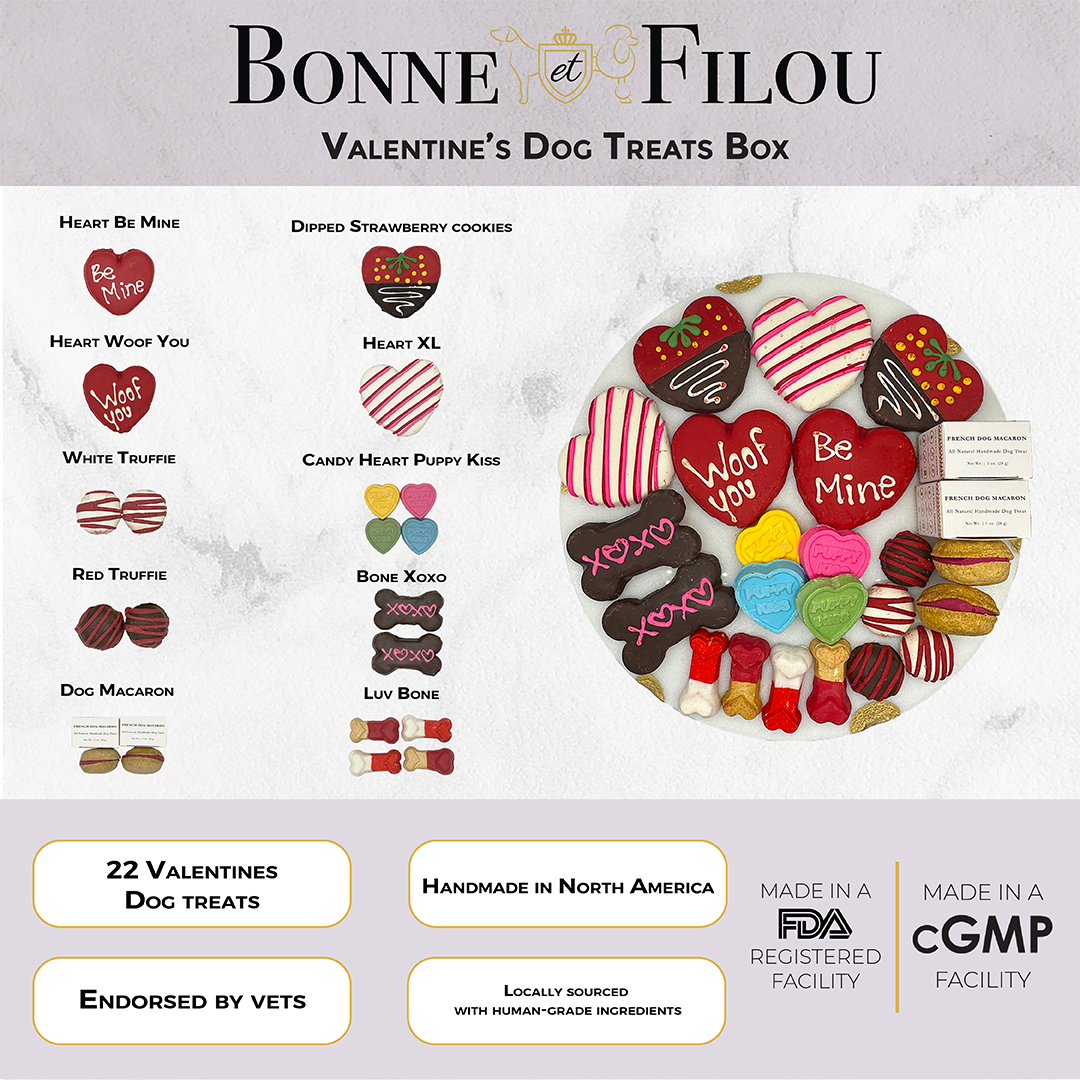 Love My Dog Themed Treats Box - BIG FRENCHIES