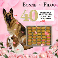 40 Count Dog Macaron Treats Gift Box - BIG FRENCHIES