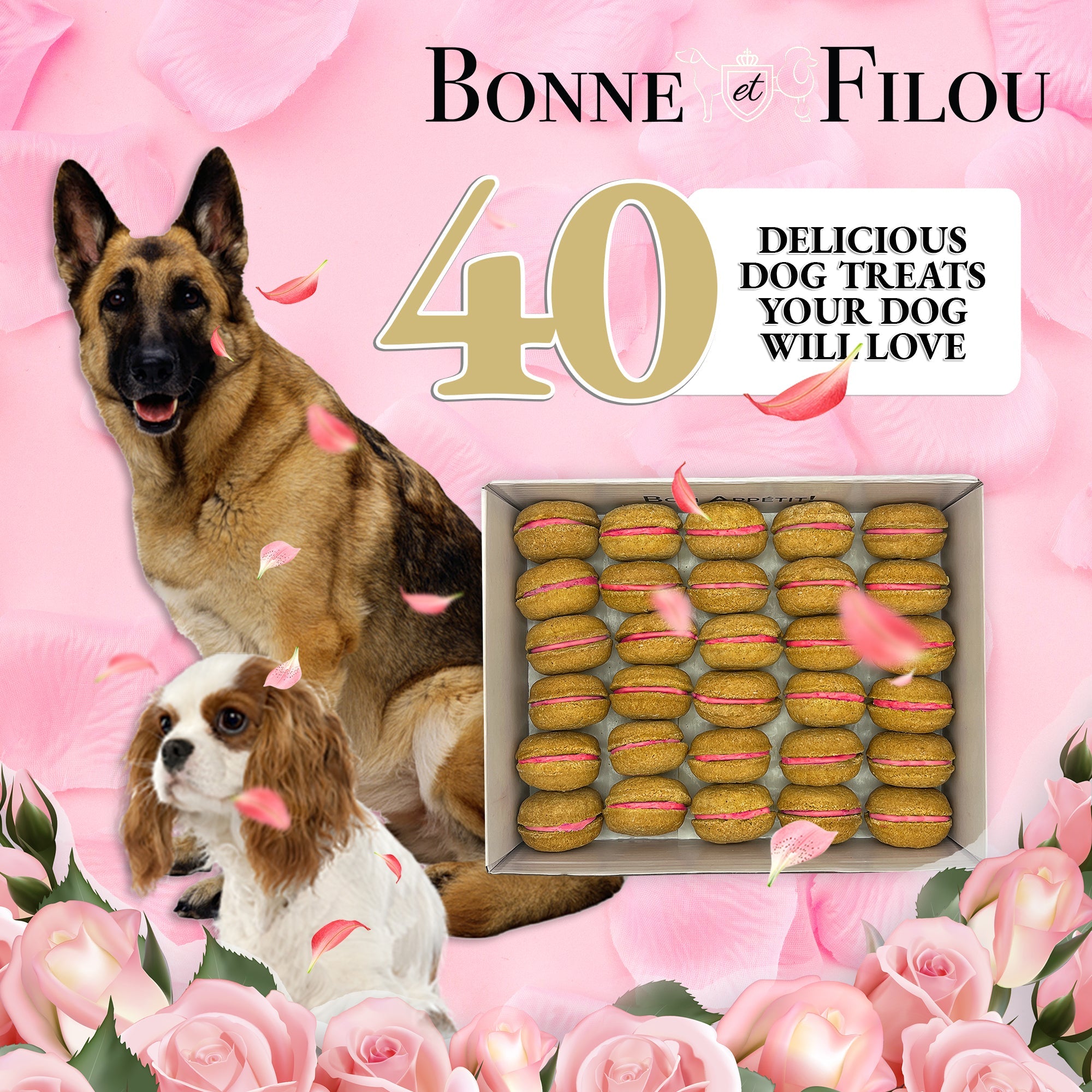 40 Count Dog Macaron Treats Gift Box - BIG FRENCHIES