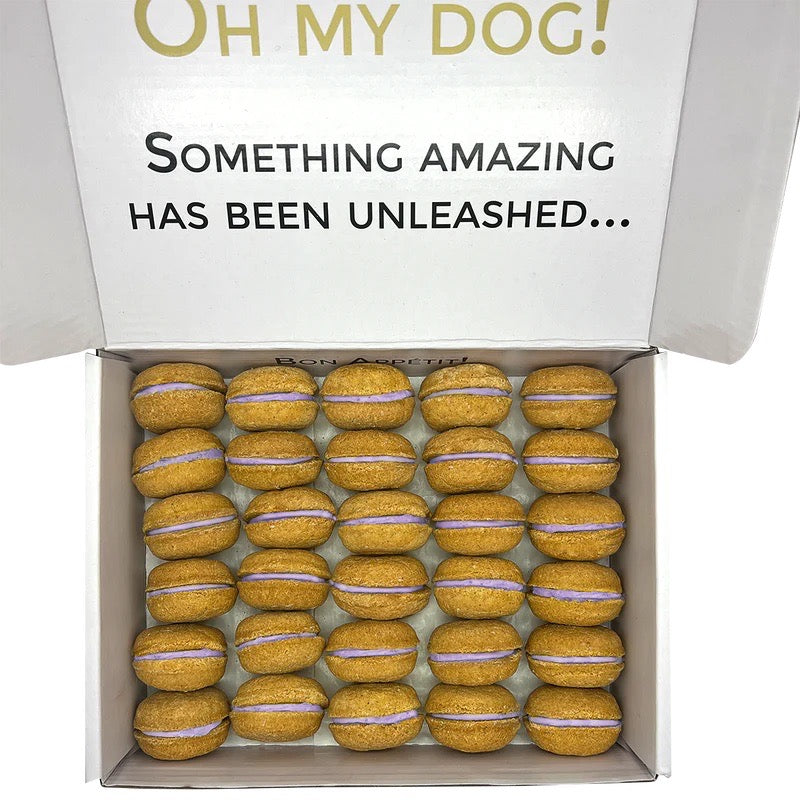 40 Count Dog Macaron Treats Gift Box - BIG FRENCHIES