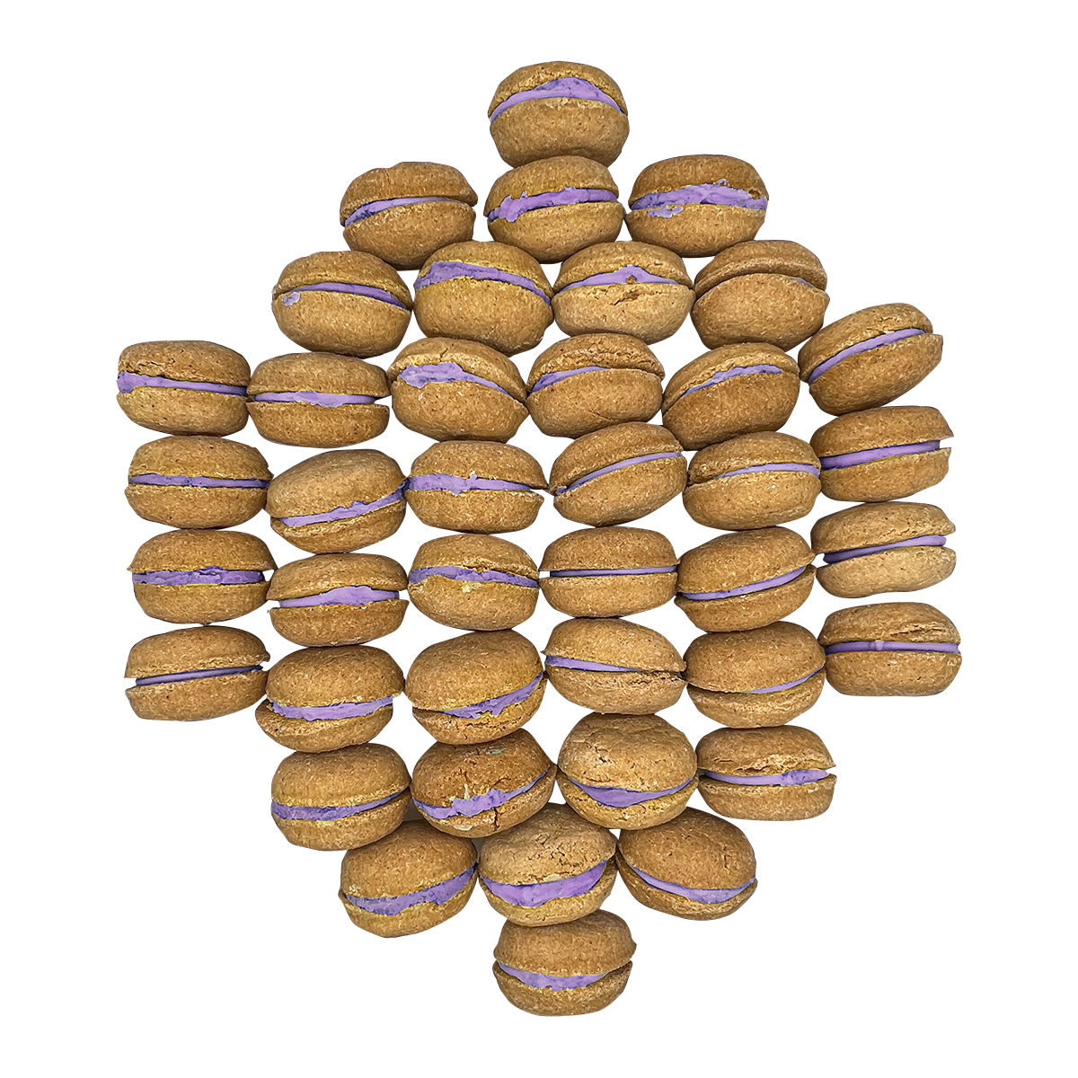 40 Count Dog Macaron Treats Gift Box - BIG FRENCHIES