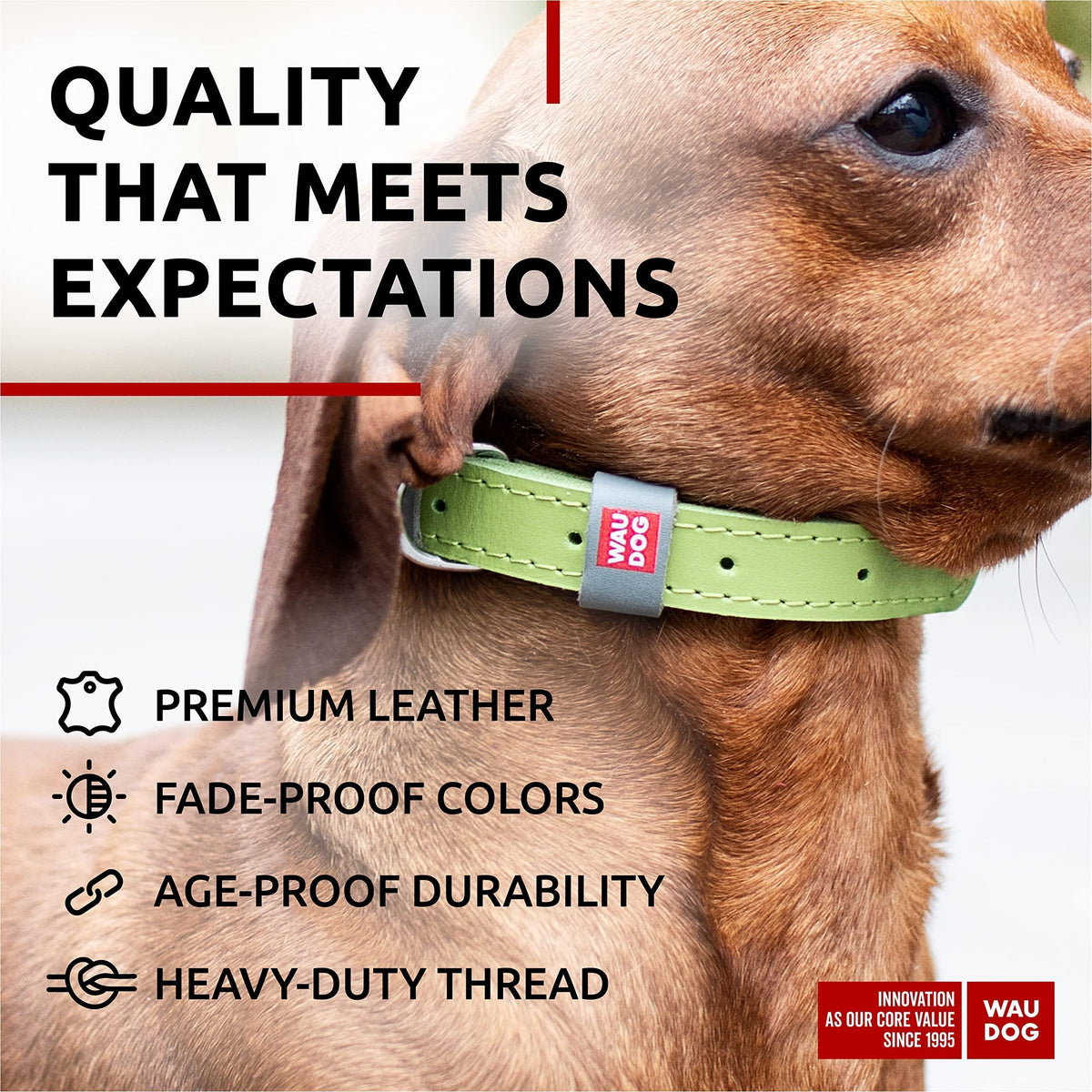 Leather Dog Collar Adjustable All Sizes Buckle D-Ring & QR Tag