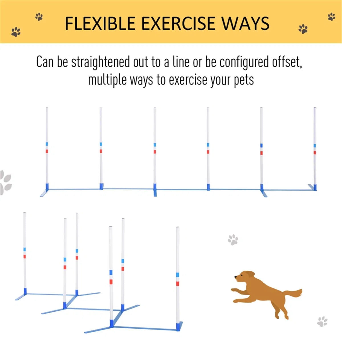 Dog Outdoor Exercise Training Set