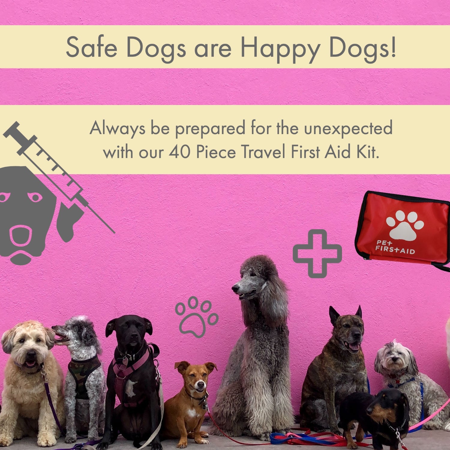 Comprehensive 40-Piece Pet Travel First Aid Kit for Emergencies, Safety, & Adventure - BIG FRENCHIES