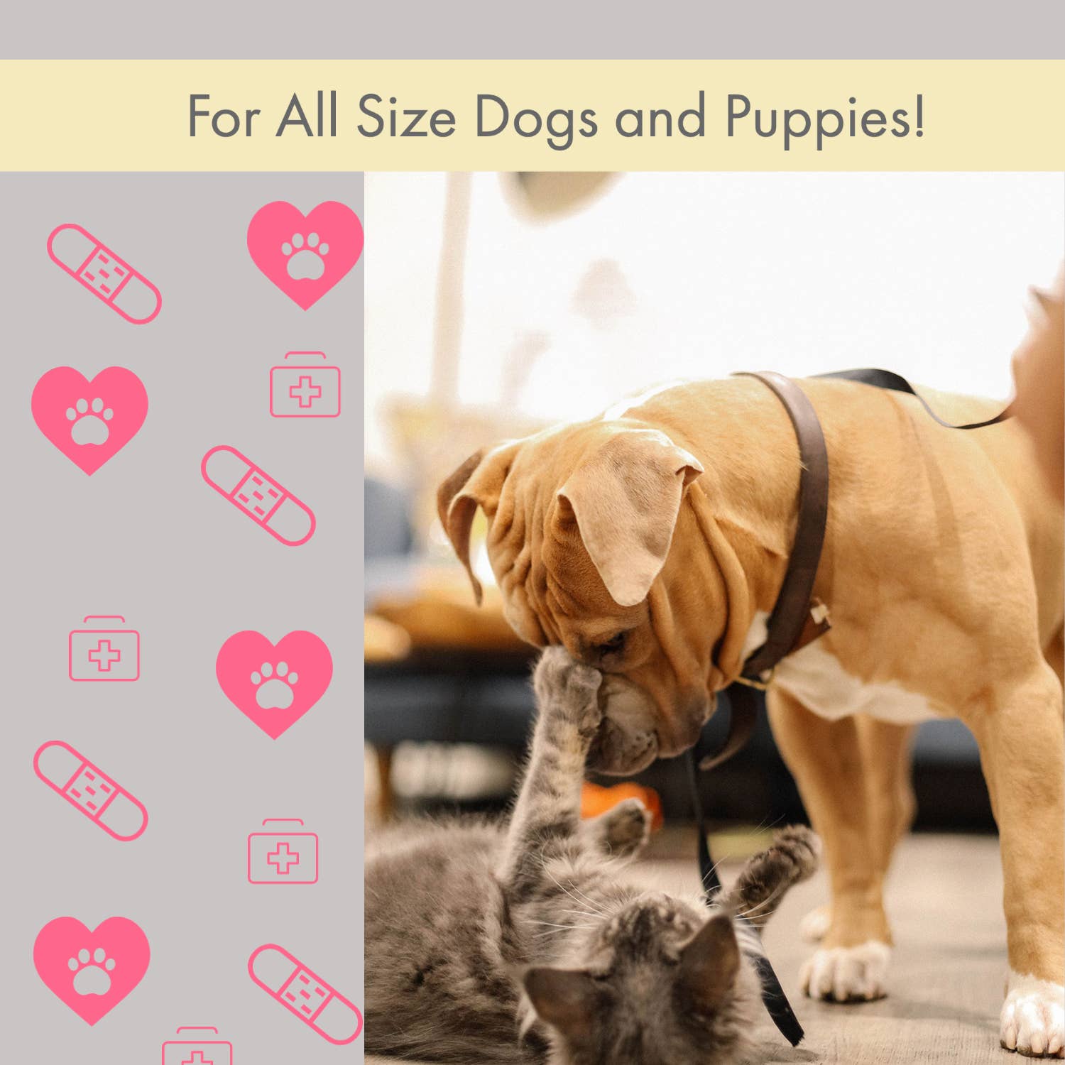 Comprehensive 40-Piece Pet Travel First Aid Kit for Emergencies, Safety, & Adventure - BIG FRENCHIES