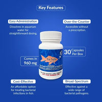 Fish Sulfa 960mg Tablets for Aquarium Fish – 30 Count – Water Care Support