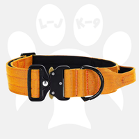 Luxury Sleek Padded Dog Collar