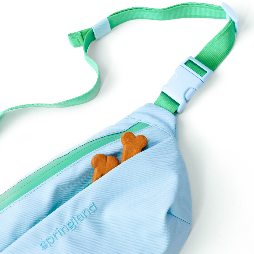 Hands-Free Dog Walking Bag - BIG FRENCHIES