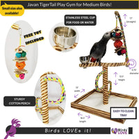 Bird Play Gym Tabletop W Cup, Toy Hanger and Toy, Javan Tigertail Stand- Large - BIG FRENCHIES
