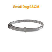 Flea-repellent Collar For Pets