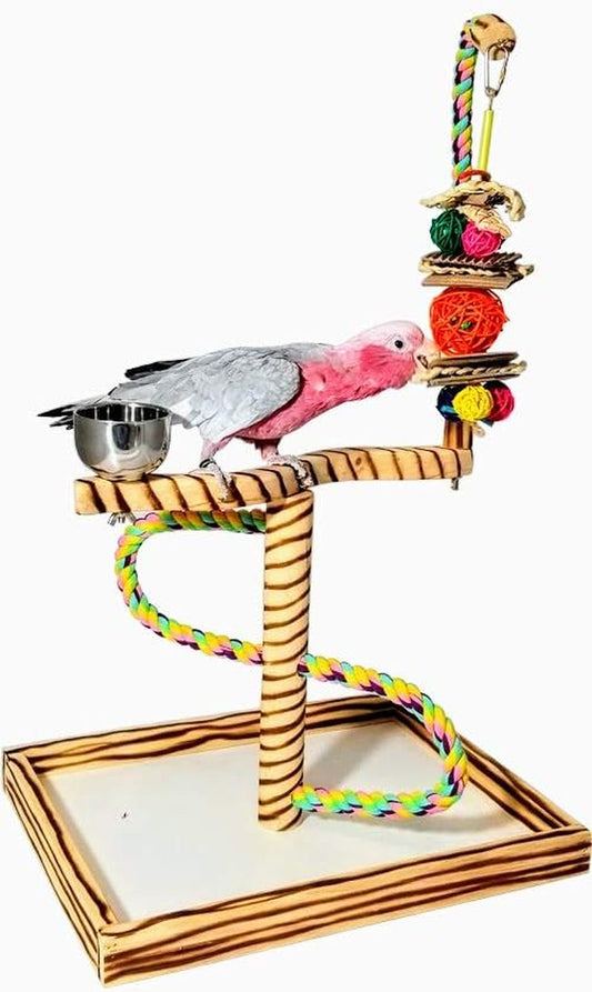 Bird Play Gym Tabletop W Cup, Toy Hanger and Toy, Javan Tigertail Stand- Large - BIG FRENCHIES