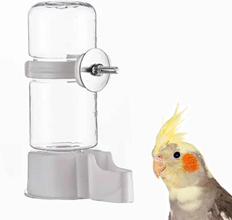 Pet Bird Automatic Water Feeder - White