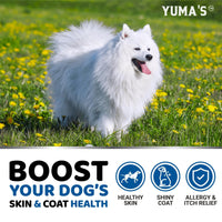 Omega-3 Fish Oil for Dogs 170 Chews Skin & Coat Supplement
