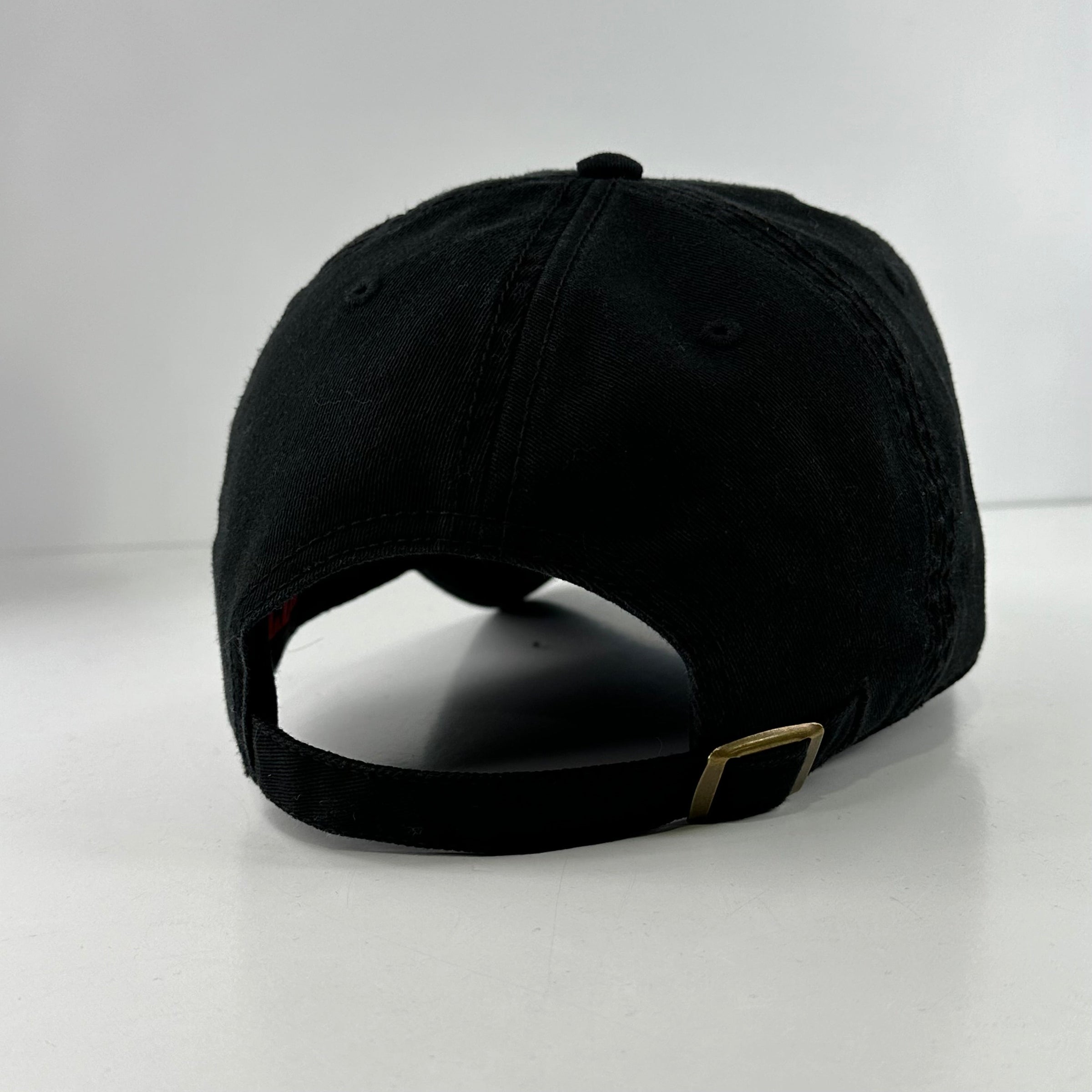 A ROBOT STOLE MY JOB Hat Custom Embroidered Strapback
