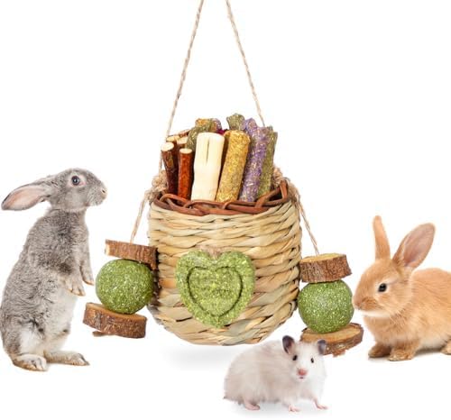 Jorewood Rabbit Chew Toys