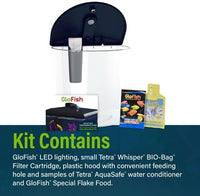 GloFish 3.5 Gallon Aquarium Kit with LED Lighting and Tetra Whisper Filter