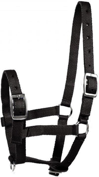 HORZE Adjustable Nylon Horse Halter for Foals, Colts, Fillies, Mini Horse Halter | Comfortable Small Horse Halter with Sturdy Buckles - Black - Foal