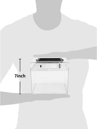 Reptile Growth Mini Reptile Terrarium - Transparent / 8" x 8"x 8" - image 2