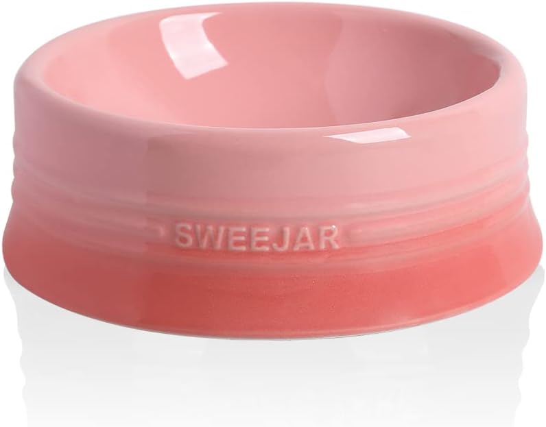 Sweejar Gradient Dog Bowl - Large (32oz) / Gradient Pink