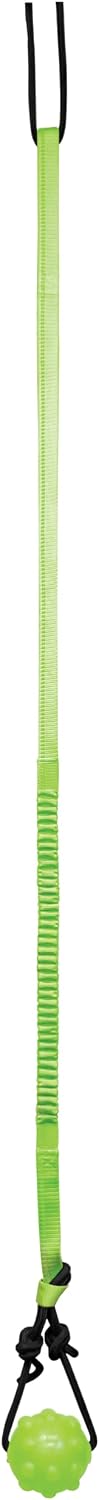 Jolly Pets Tree Tugger Interactive Bungee Dog Toy, Green – Essentials for Dogs - (Pack of 12) / Dog - image 2