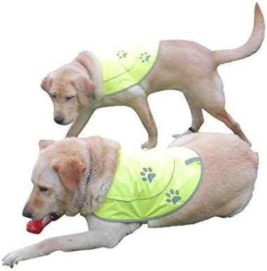 Dog Reflective Vest - Comfortable Jacket Safety Hunting, High Visibility for Dogs with Elastic Straps and Clasp Closure- Orange, XX-Large
