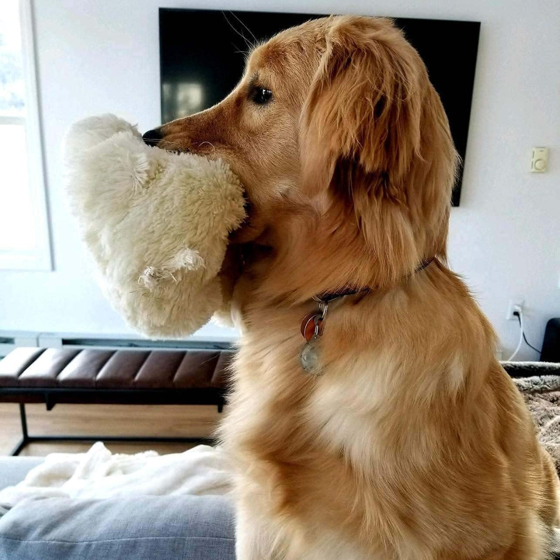 Heartbeat Dog Toy For Puppies, Real Feel Heartbeat, Calming Sleep Aid And Crate Training Comfort Toy With Heat Pack, Cre