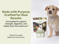 Superfood Nuggets- Premium, Freeze-Dried raw Dog Food Topper or Treat. Powerful Nutrient-Dense Ingredients. No Artificial additives. Beef Tripe and Kale Formula 8oz - 4pk Bundle